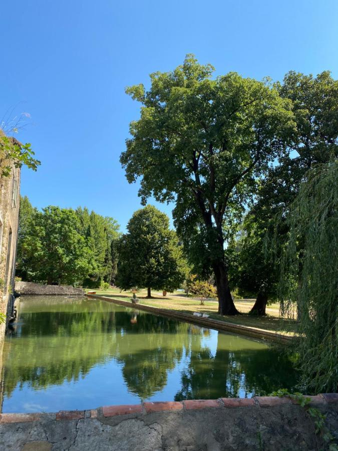 Terrasse Avec Vue Domaine Viticole Daire Sallèles-dʼAude Dış mekan fotoğraf