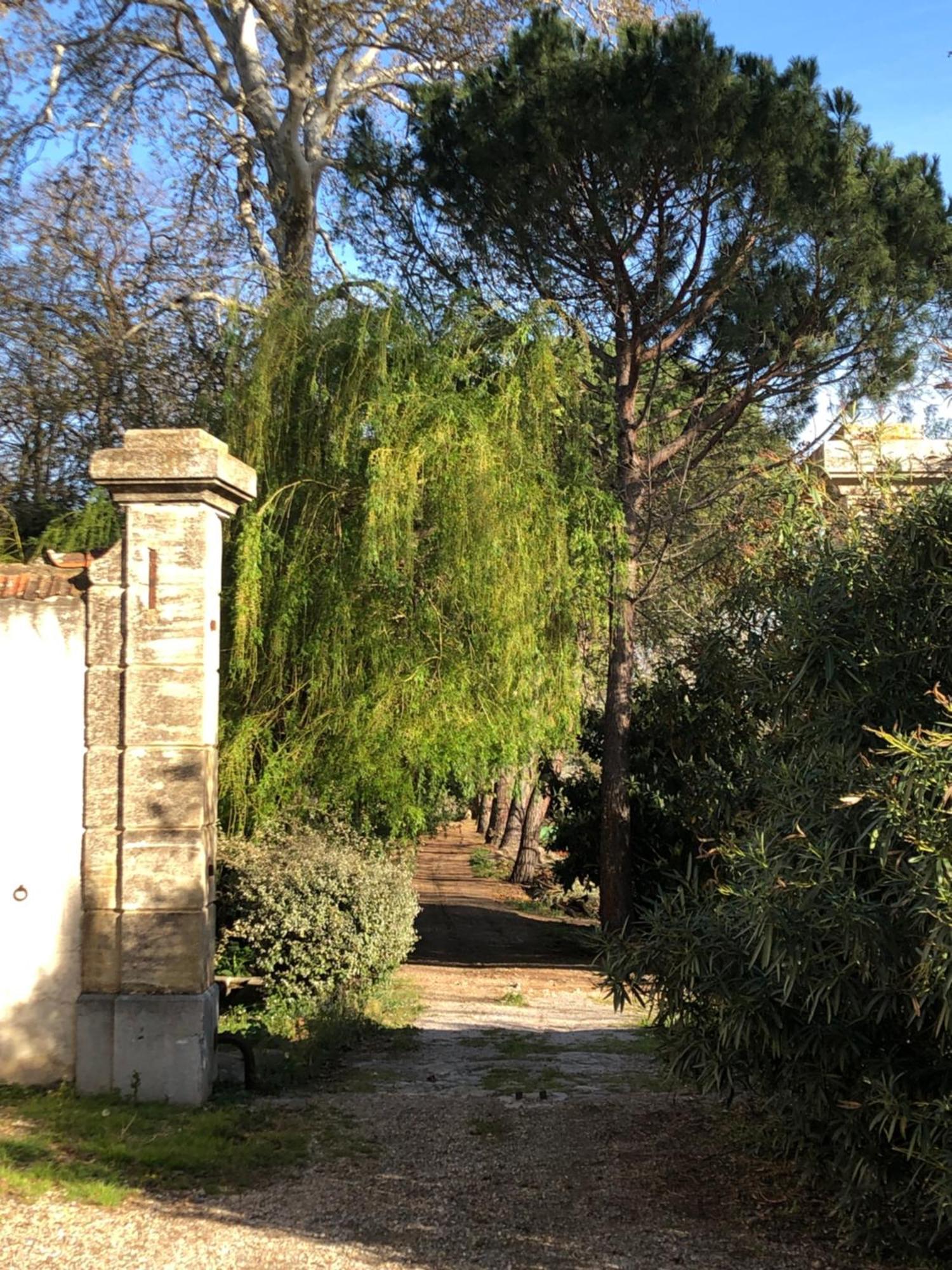 Terrasse Avec Vue Domaine Viticole Daire Sallèles-dʼAude Dış mekan fotoğraf